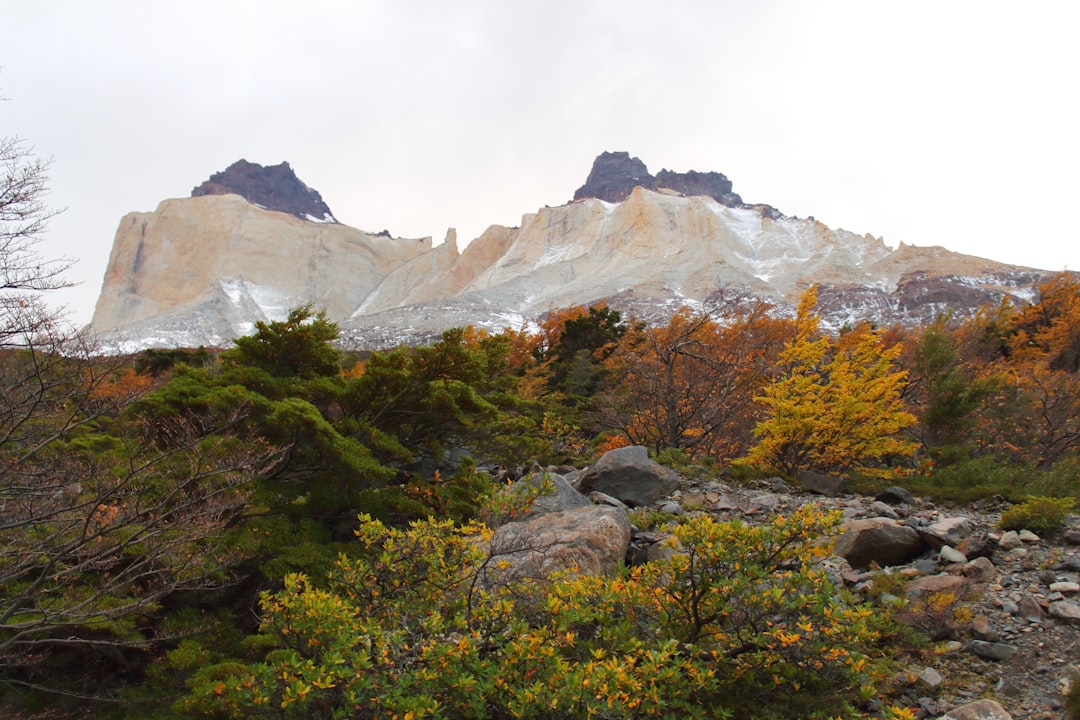 What are the top tourist attractions to see in Chile? by Chile Vacay a rocky area with trees and a mountain in the background