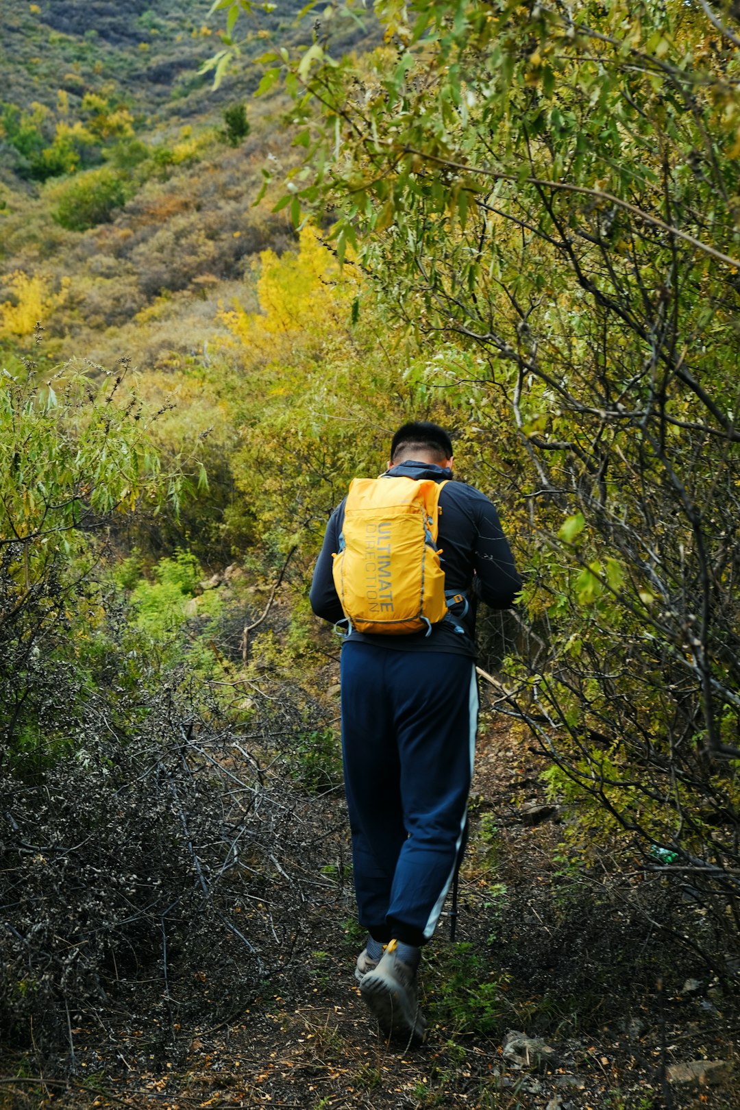 a man wearing a backpack walking on a trail in the woods