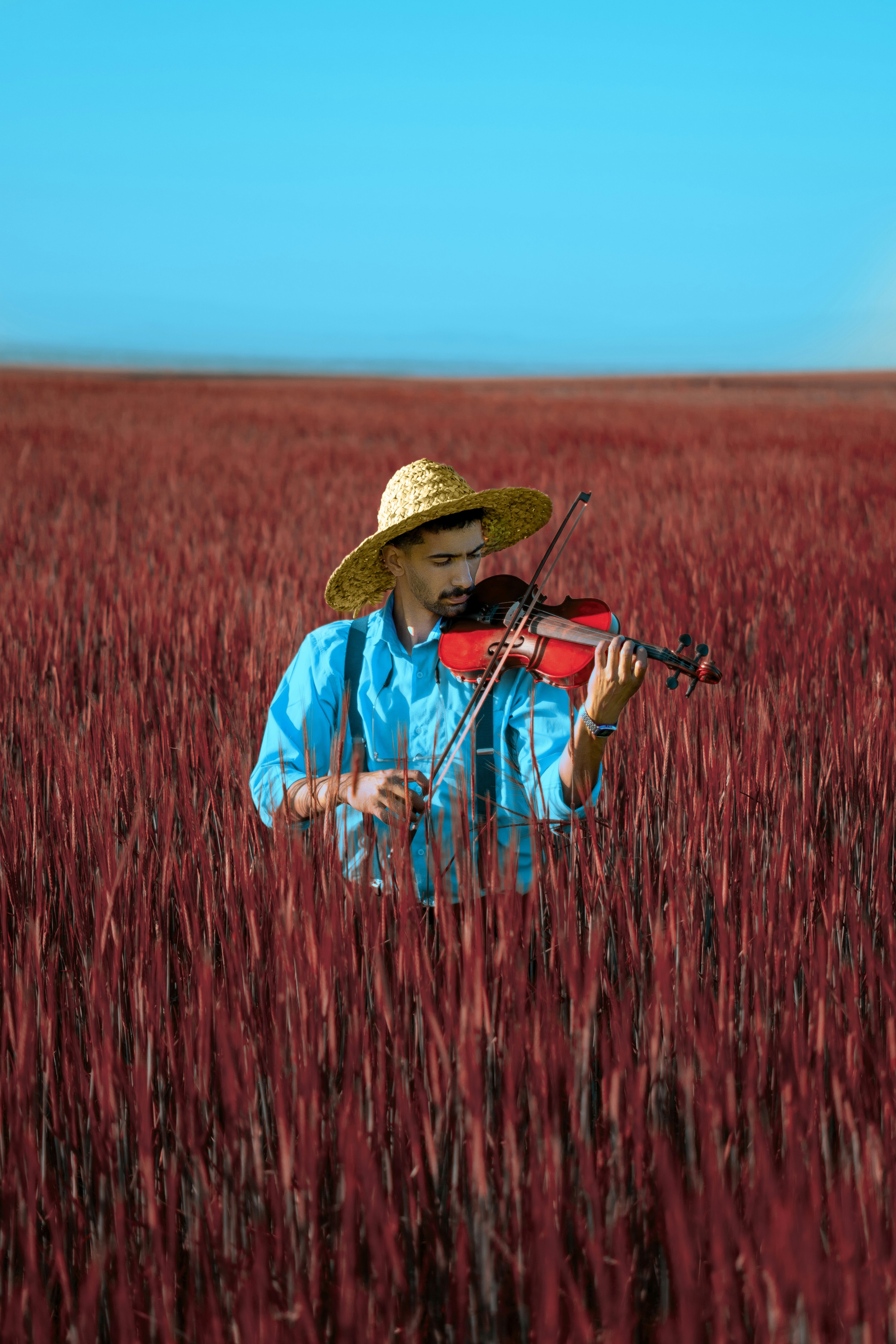 Conclusion: Why Chilean Musicians Deserve a Spot on Your Playlist 🎶 by Chile Vacay A man in a straw hat playing a violin in a field