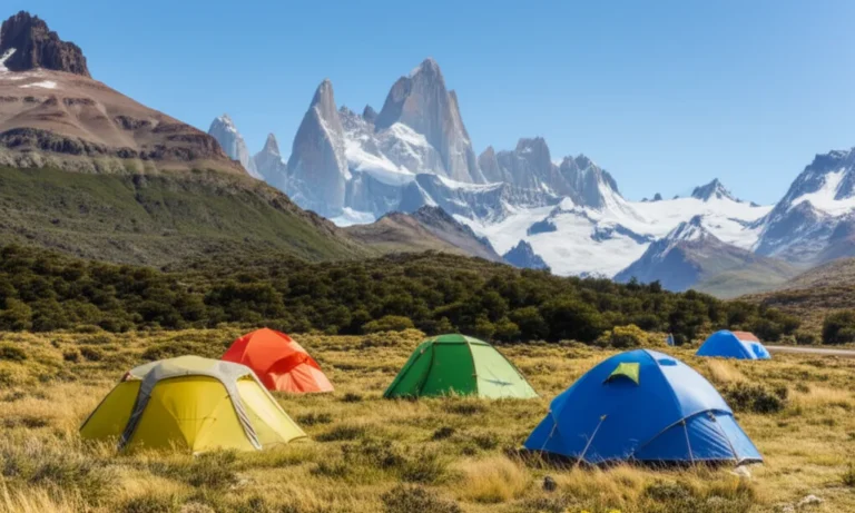Featured image for Can I Go Camping in Torres del Paine National Park Rules Tips 2025