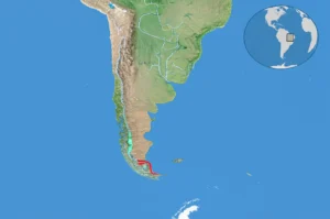 Featured image for How Do I Plan a Trip to Chile and Easter Island Your Ultimate 15-Step Guide 2026